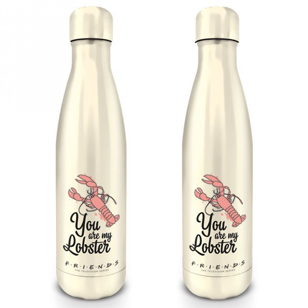 Фляга-термос Friends (You are my Lobster) Metal Drinks Bottle 540ml MDB25499